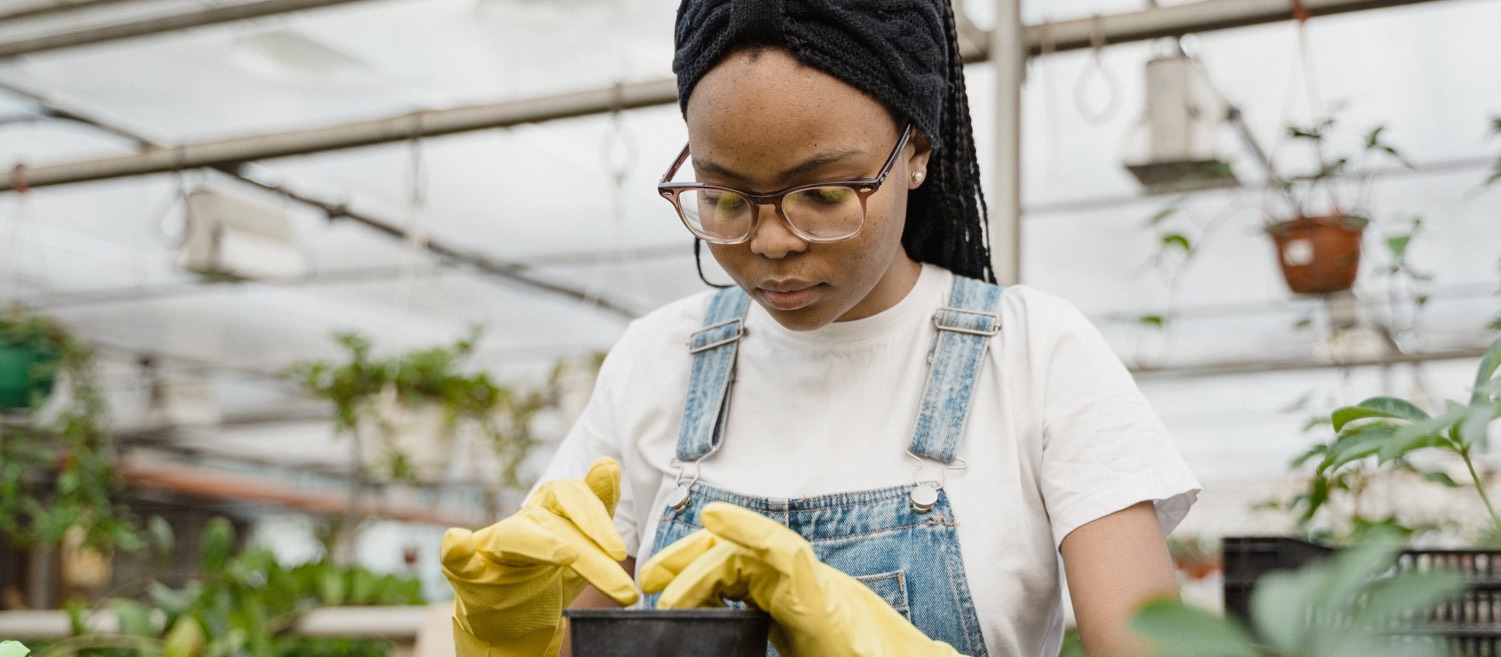 29 ways to plant seeds for future career success – The Coach Space